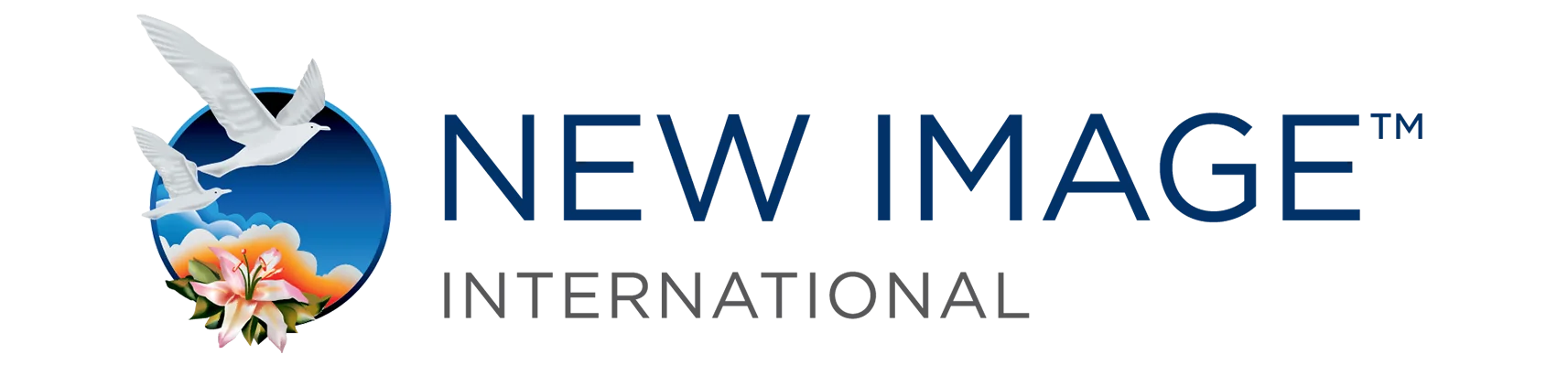 New Image Group Company logo