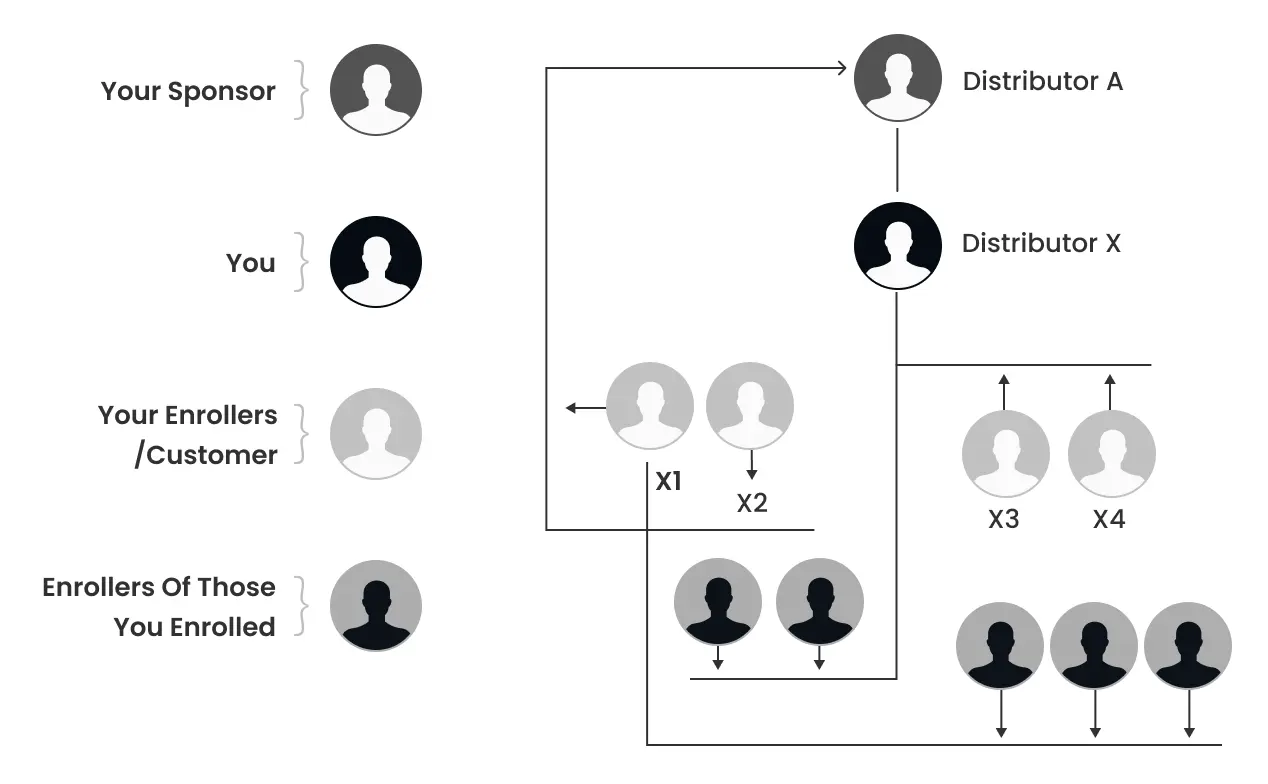  A Visual Representation of working of Australian X-Up MLM Plan.