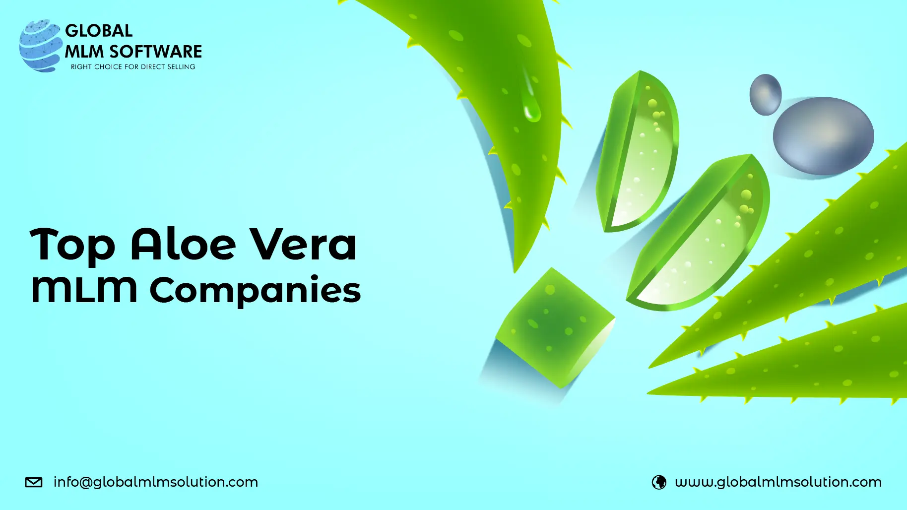 Top Aloe Vera MLM Companies